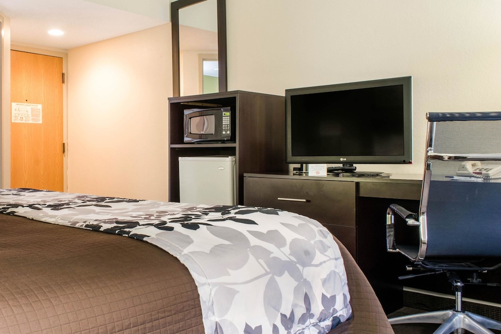 Room, 1 Queen Bed, Accessible, Non Smoking photo 3