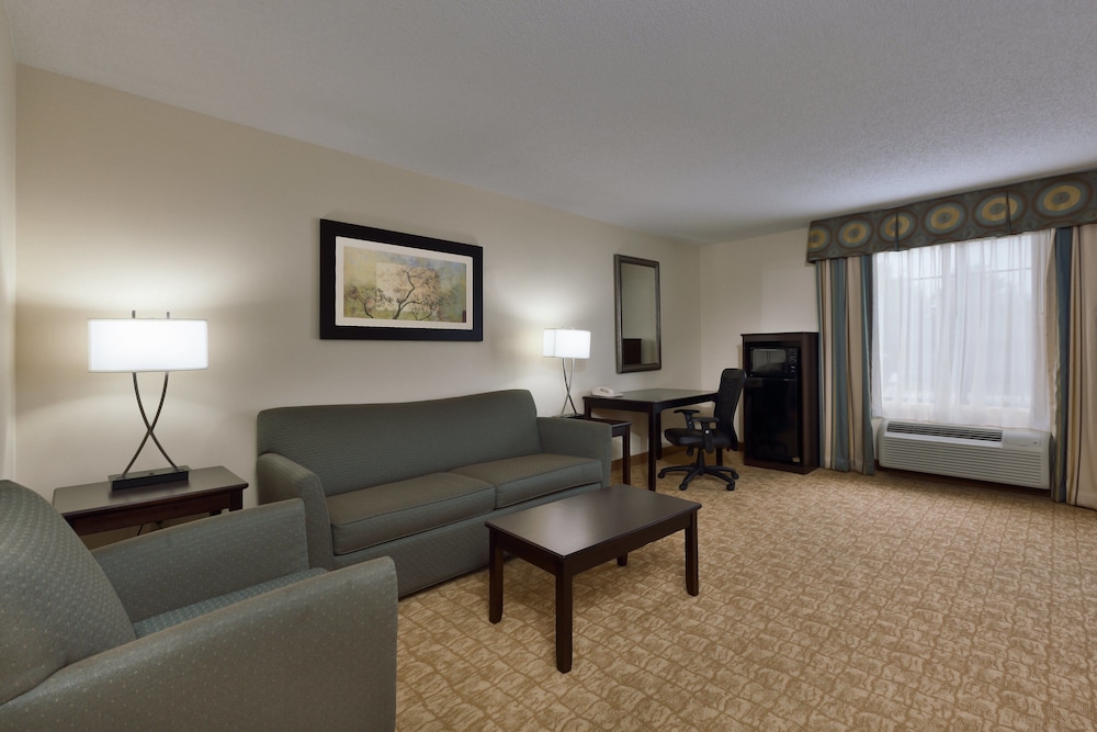 Suite, 1 King Bed with Sofa bed
