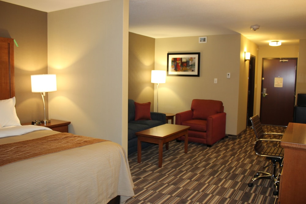 Executive Suite, 1 King Bed with Sofa bed, Non Smoking photo 2
