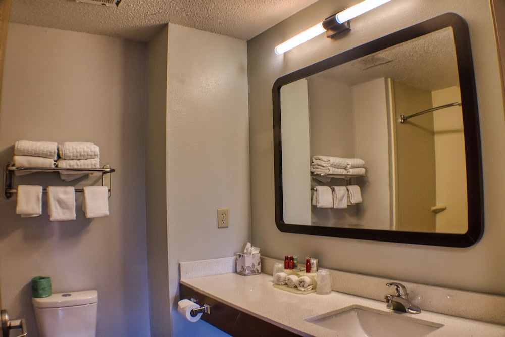 Standard Room, 1 King Bed, Non Smoking, Refrigerator & Microwave (With Sofabed) - Photo 8
