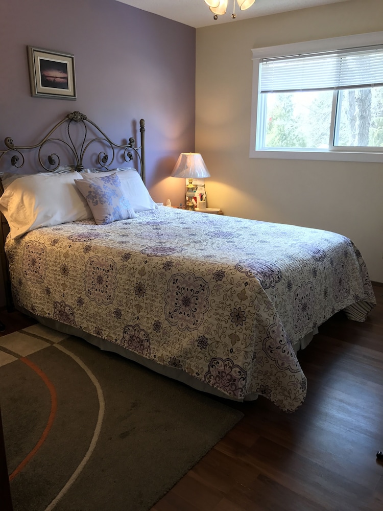 Comfort Double Room, 1 Queen Bed photo 2