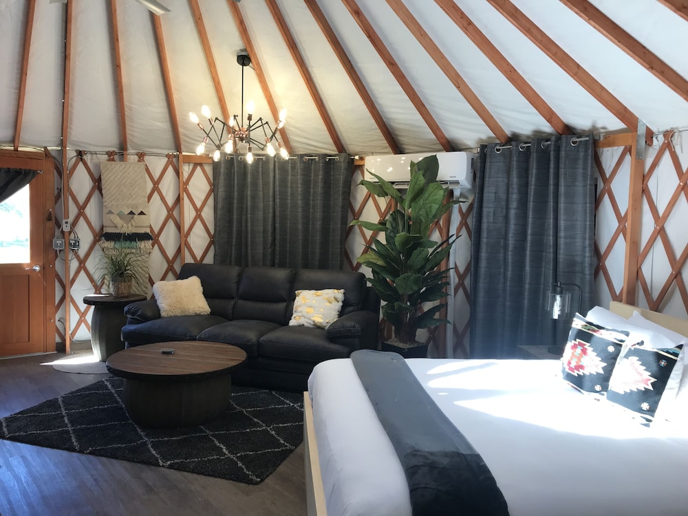 Birch Yurt photo 2