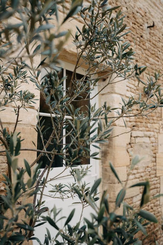 Traditional Suite, Ensuite, Garden View - Photo 9