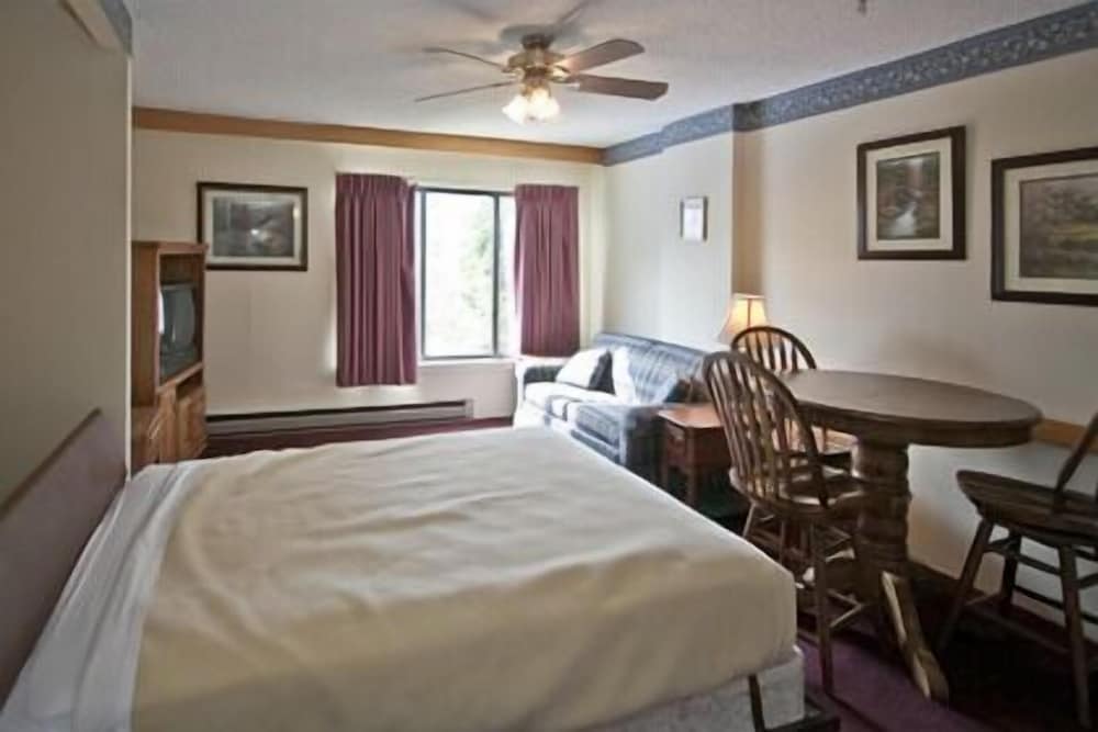 Classic Condo, 1 Bedroom photo 3