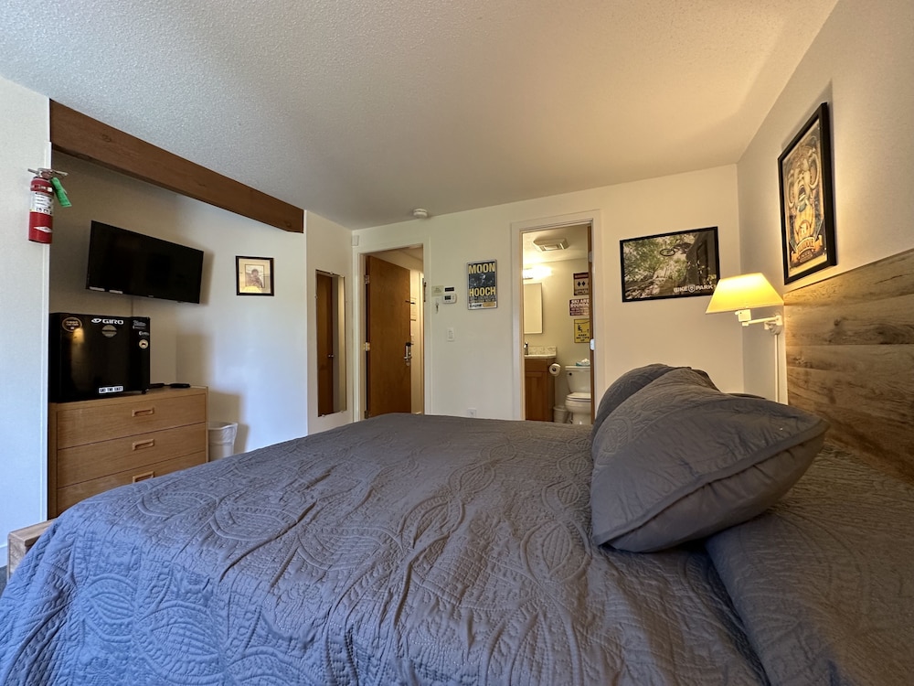 Condo, 1 Bedroom photo 3