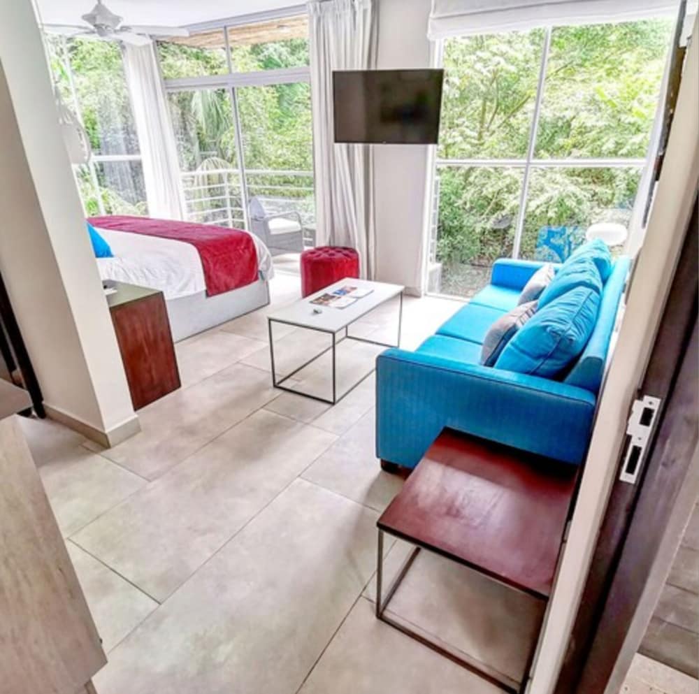 Iguana Suite