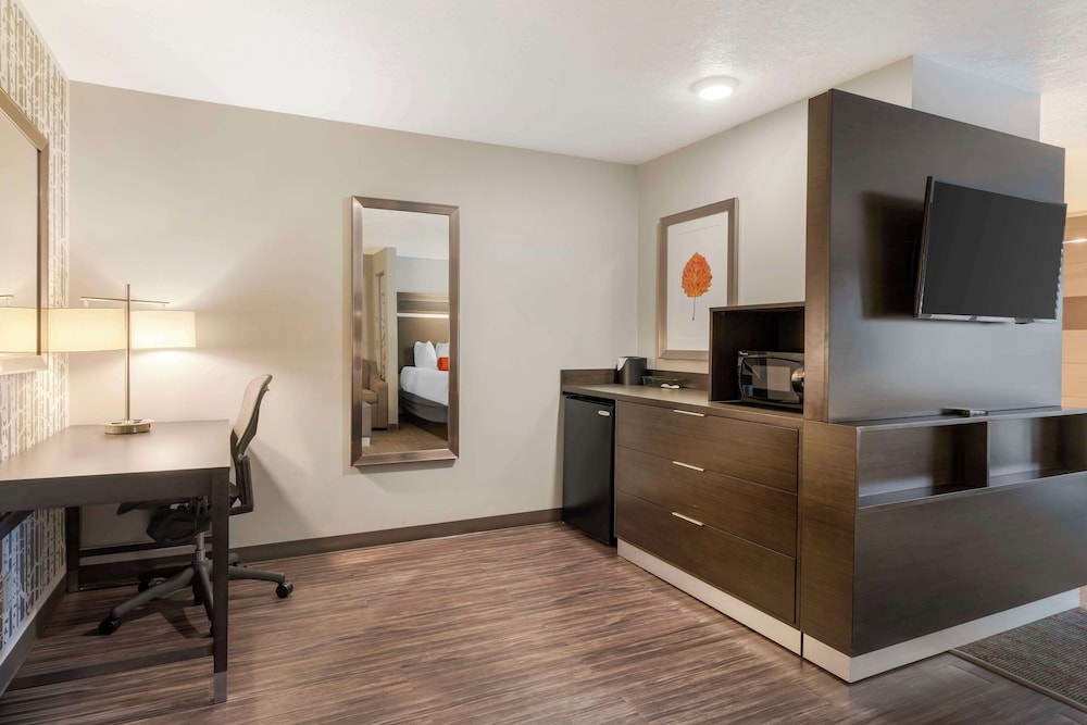 Suite, 1 King Bed, Non Smoking, Refrigerator & Microwave (Pet Friendly;with Sofabed) - Photo 3