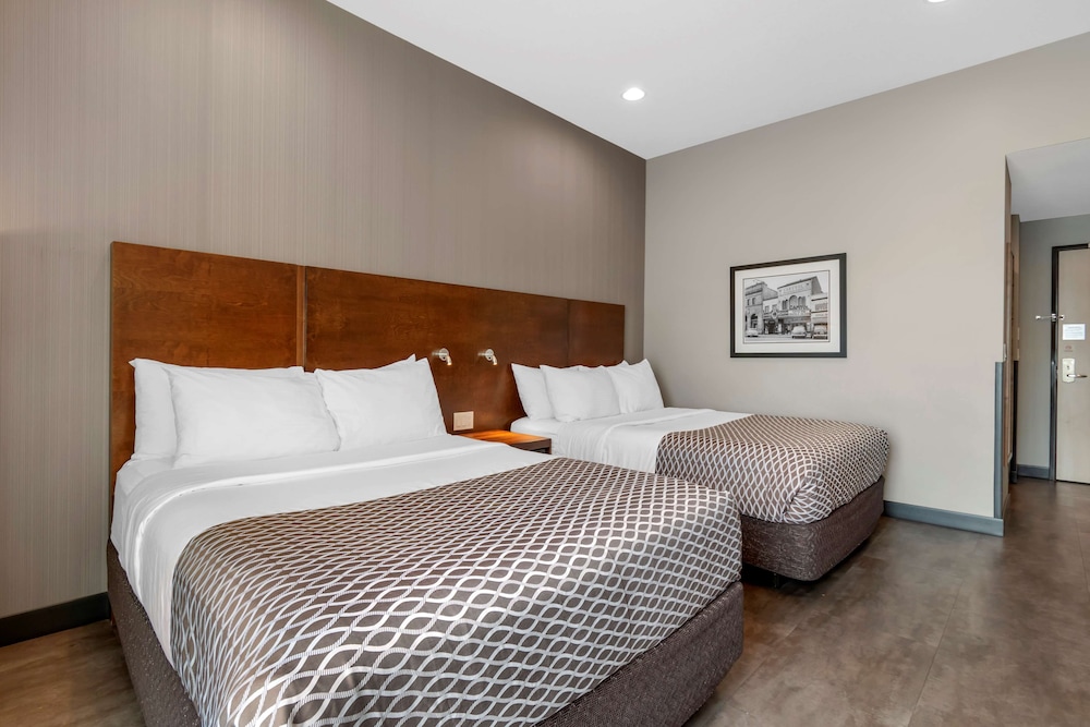 Standard Room, 2 Queen Beds, Non Smoking (Shower Only)