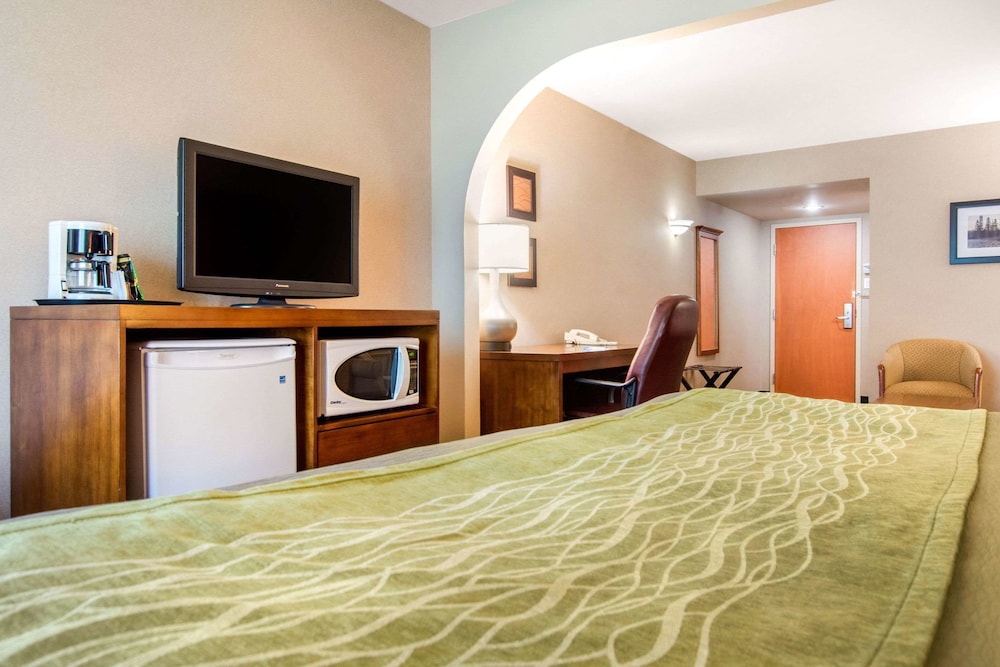 Business Suite, 1 King Bed with Sofa bed, Non Smoking - Photo 4