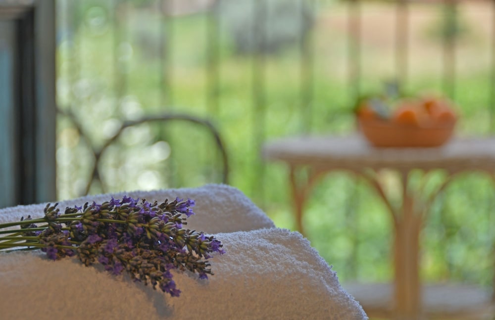 Double Room, Private Bathroom, Garden View