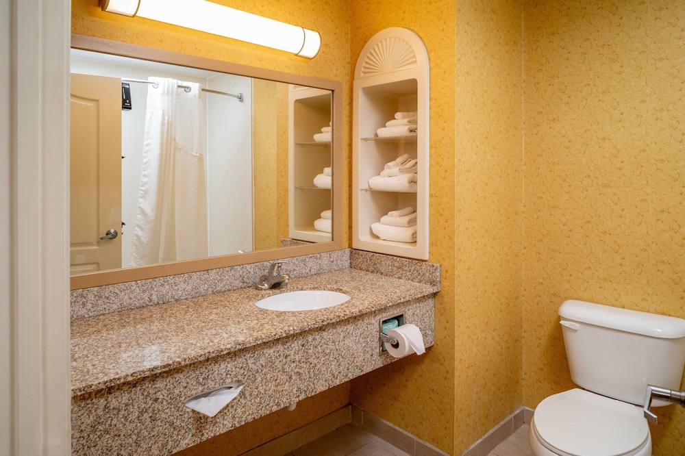 Suite, 1 King Bed with Sofa bed, Jetted Tub - Photo 12