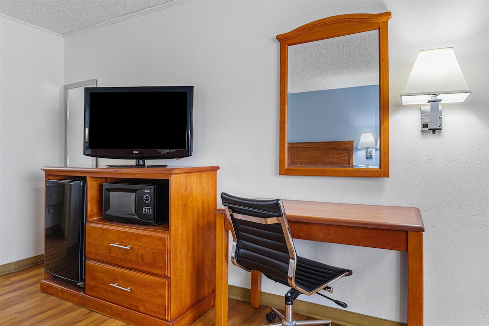 Standard Room, 1 King Bed, Non Smoking, Refrigerator & Microwave (with Sofabed) - Photo 3