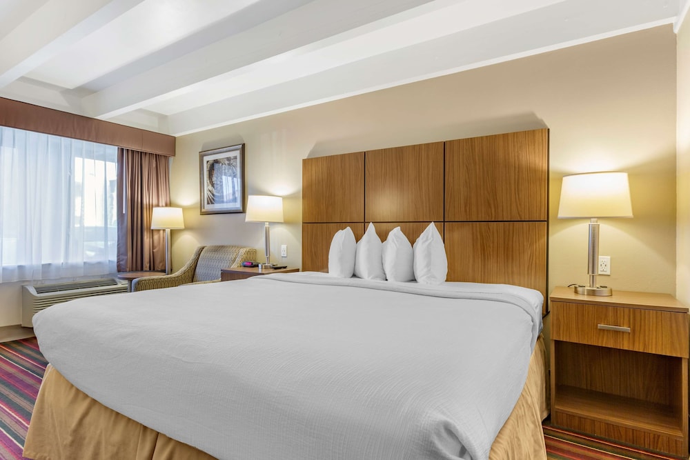 Best Western El Rancho Palacio, Billede 5