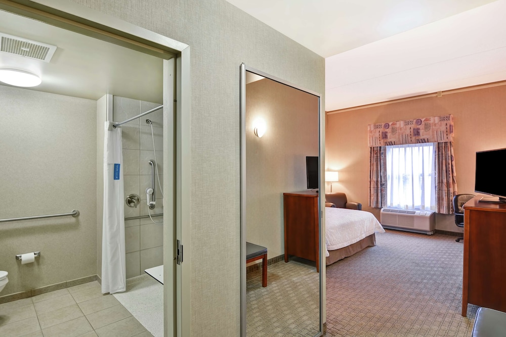 Room, 1 King Bed, Accessible (Mobility & Hearing, Roll-In Shower) photo 3