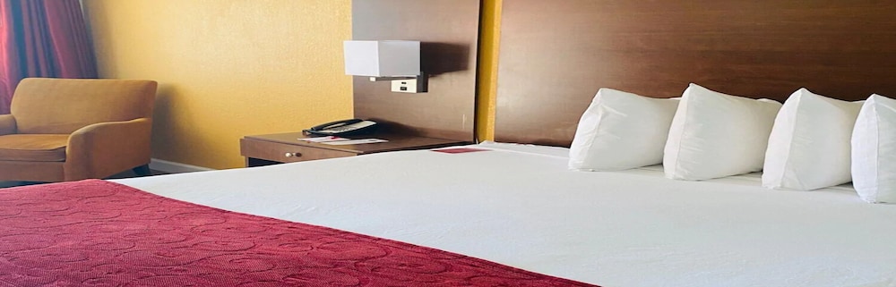 Suite, 2 Bedrooms, Non Smoking (2 King Beds) photo 3