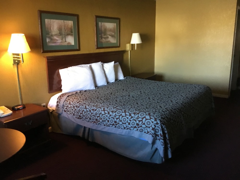Basic Single Room photo 1