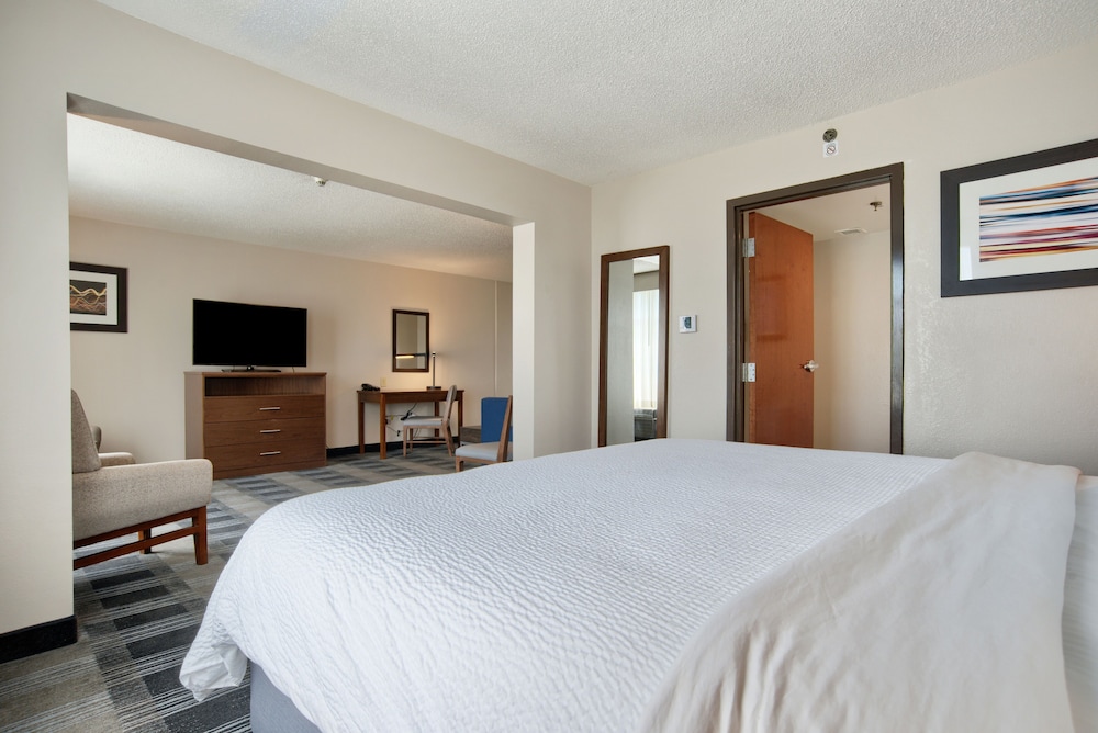 Suite, 1 King Bed (Extra Floor Space) - Photo 4