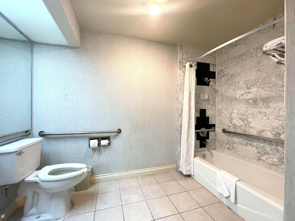 Standard Double Suite Accessible - Photo 4