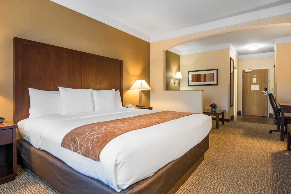 Suite, 1 King Bed, Non Smoking - Photo 4