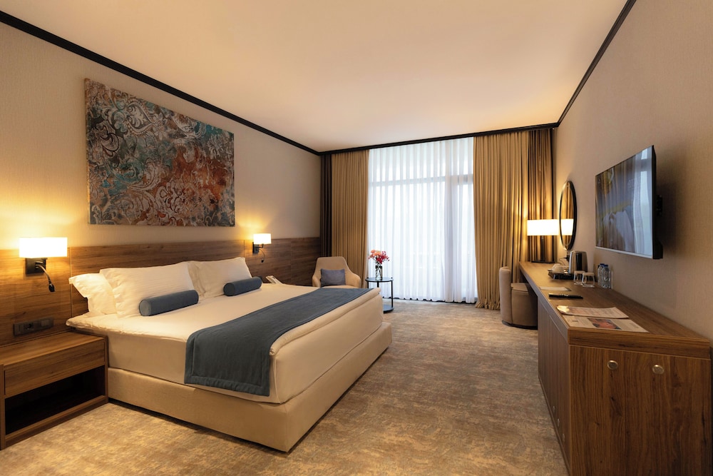 Superior Double Room, Mountain View photo 3