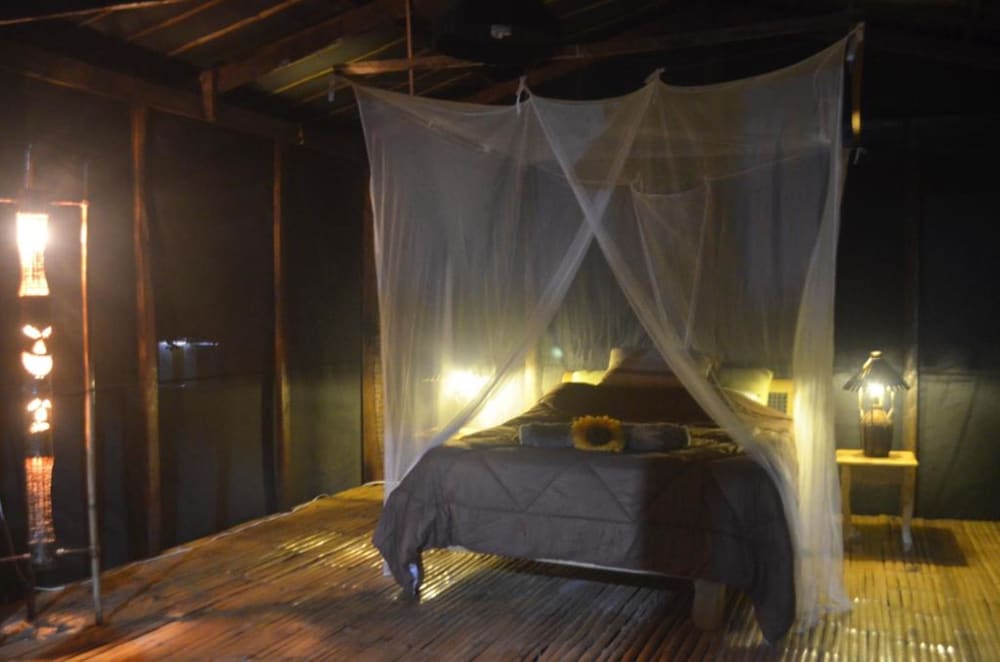 King (Fan Room) photo 3