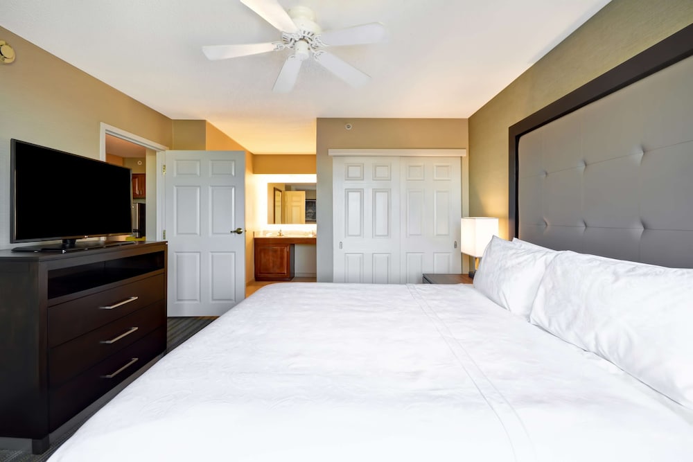 Suite, 1 Bedroom - Photo 4