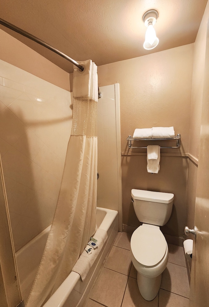 Comfort Single Room photo 2