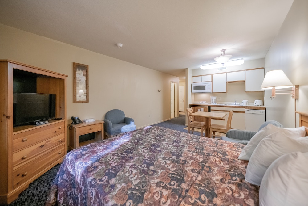 Basic Studio, 1 Queen Bed photo 3