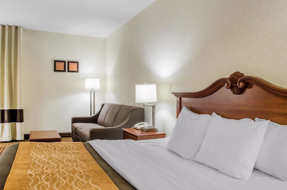Standard Room, 1 King Bed with Sofa bed, Non Smoking - Photo 10