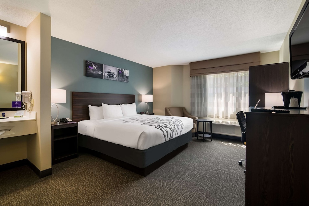 Standard Room, 1 King Bed, Non Smoking