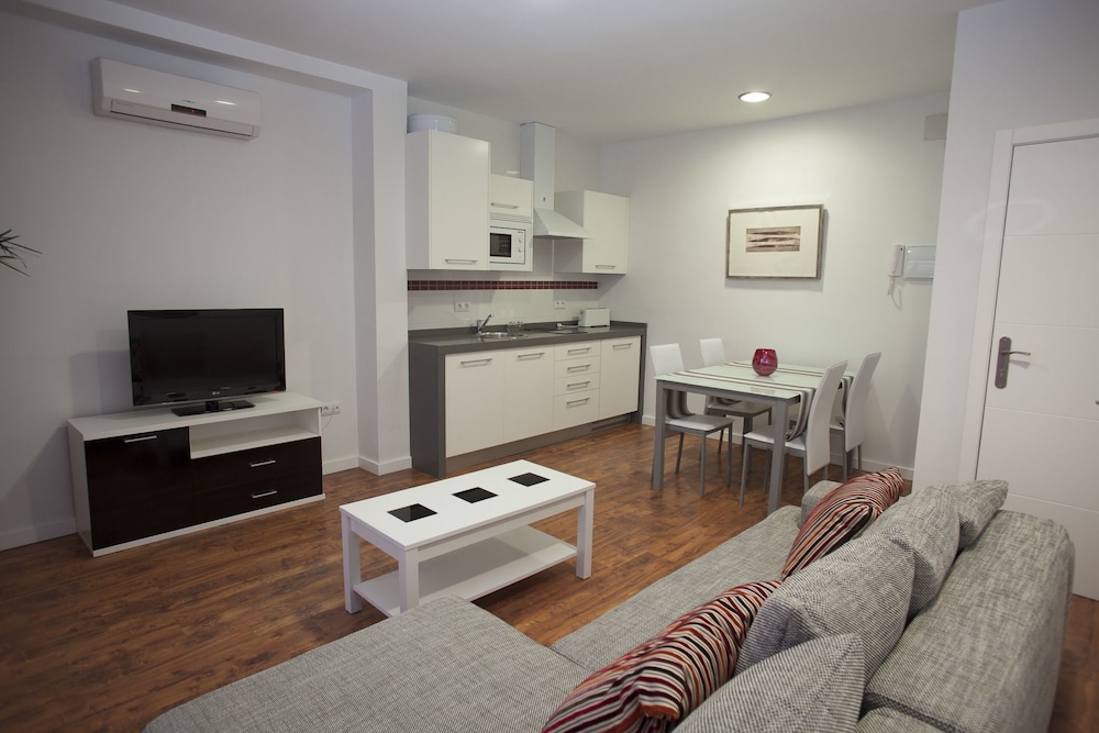Gran Apartamento, 1 Habitación
