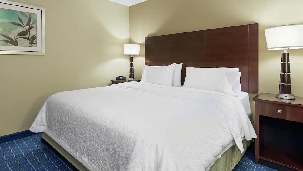 Room, Accessible, Non Smoking (Roll-in Shower) - Photo 3