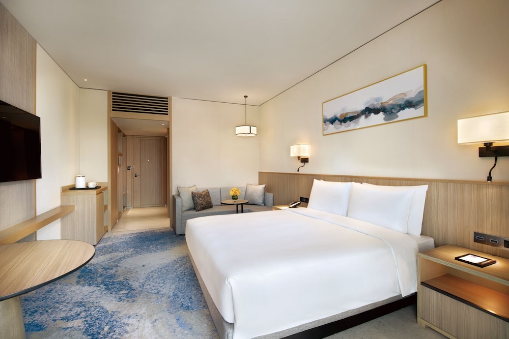 Room, 1 King Bed with Sofa bed