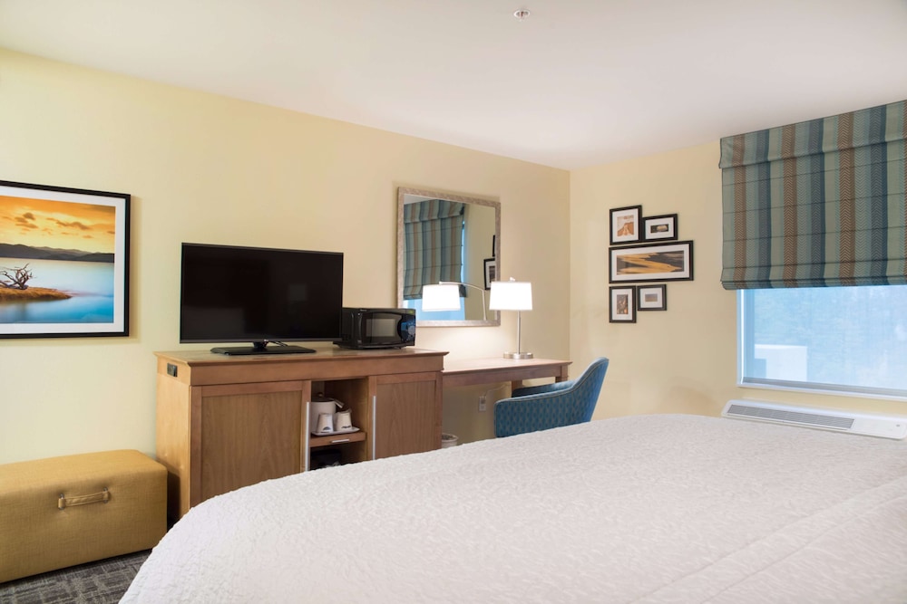 Room, 1 King Bed, Non Smoking, Refrigerator & Microwave photo 1