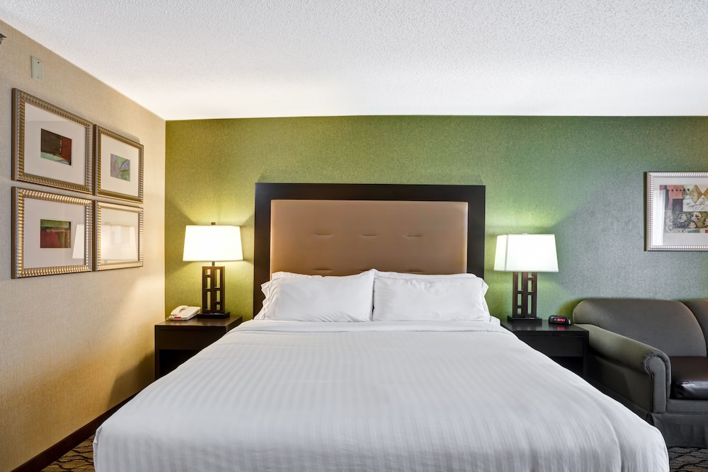 Standard Room, 1 King Bed, Accessible, Non Smoking (Communications)