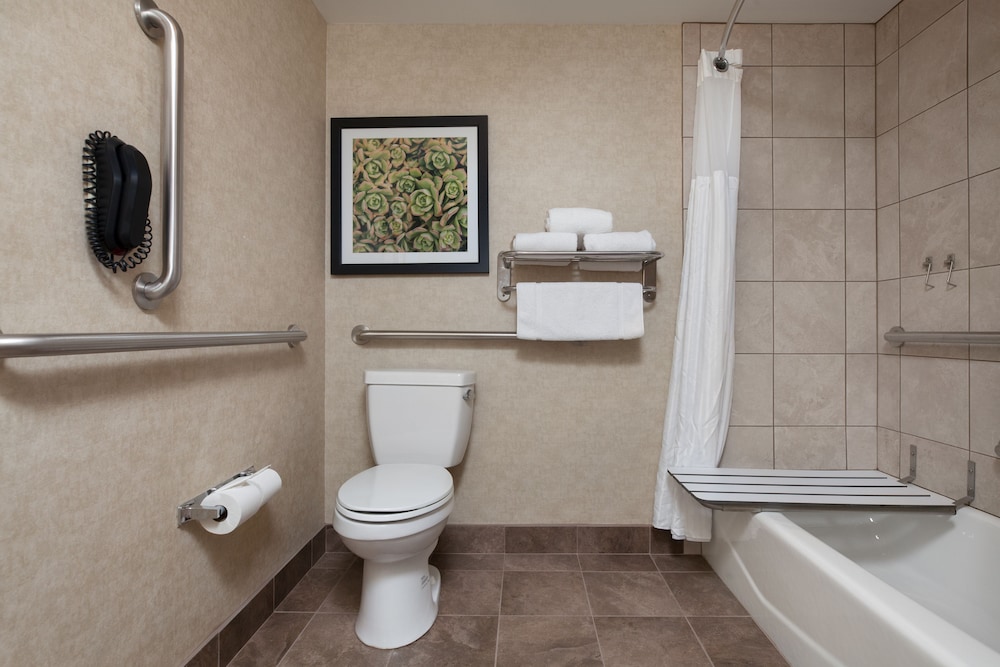 Room, 1 Queen Bed, Accessible, Bathtub (Mobility & Hearing) - Photo 8