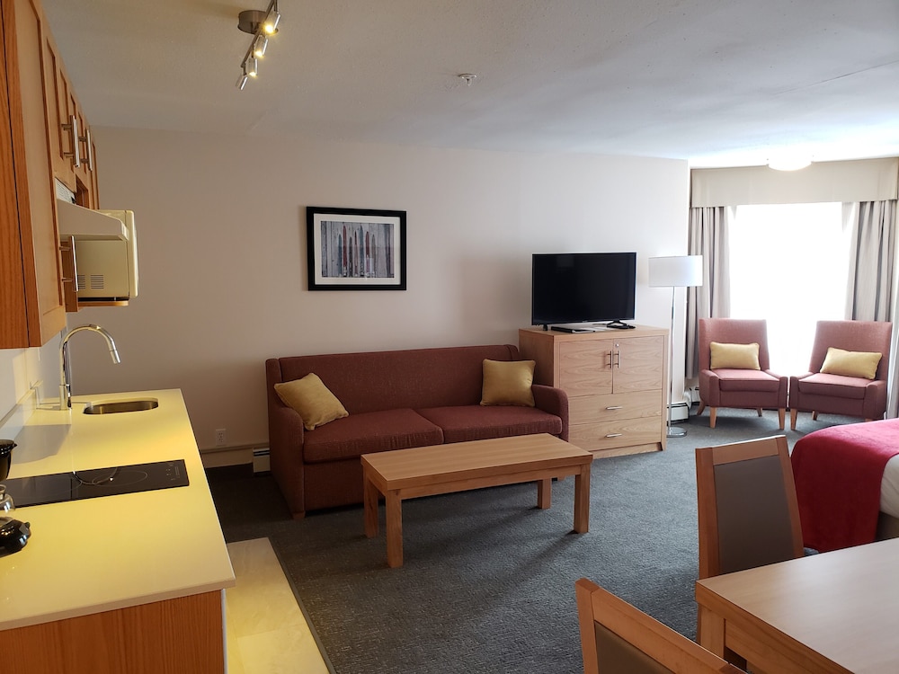 Deluxe Studio, 1 King Bed with Sofa bed
