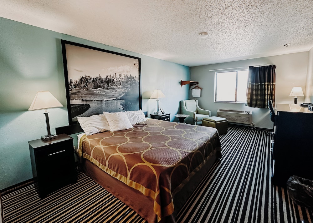 Standard Single Room, 1 King Bed