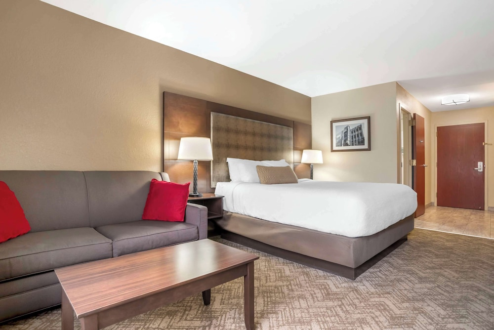 Suite, 1 King Bed, Non Smoking, Refrigerator & Microwave (with Sofabed) photo 1