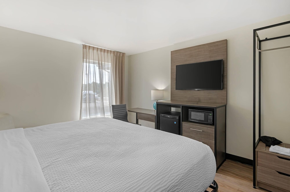 Room, 1 King Bed, Accessible, Non Smoking (Accessible Tub) - Photo 5