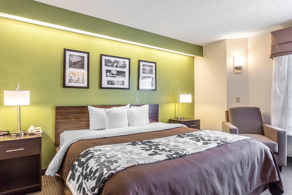 Standard Room, 1 King Bed, Non Smoking - Photo 1