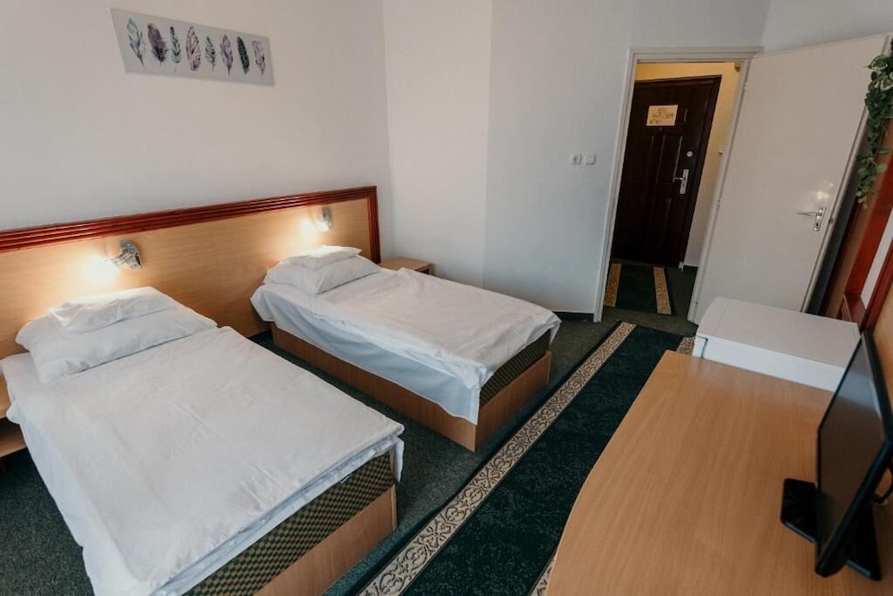 Superior Single Room photo 3