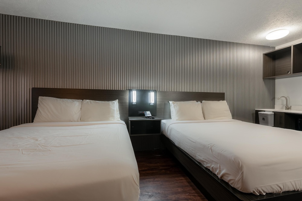 Deluxe Room, 2 Queen Beds, Non Smoking, Refrigerator & Microwave photo 2