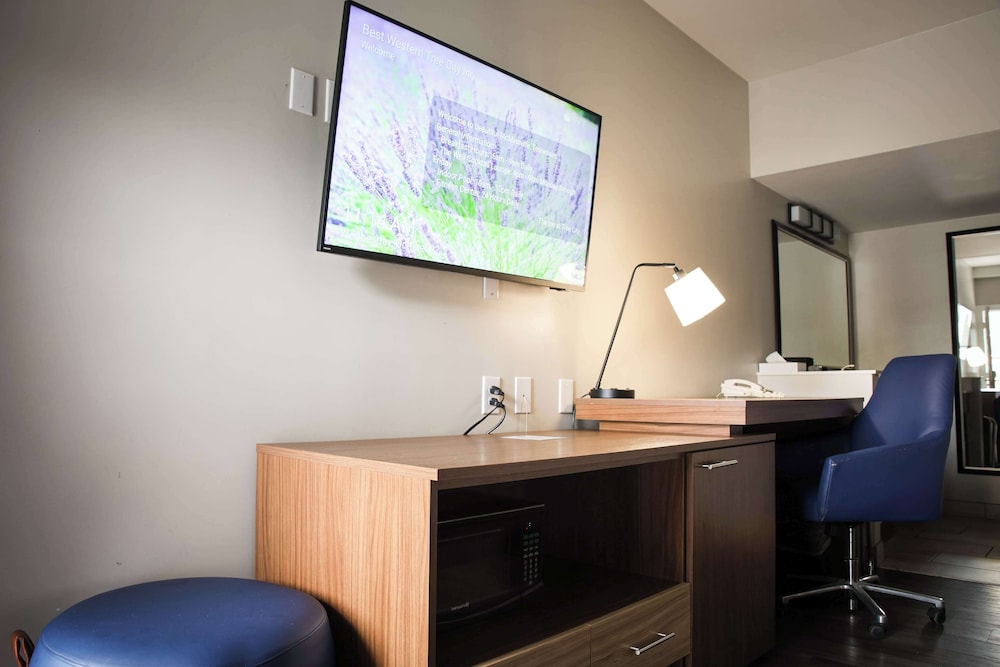 Standard Room, 1 Queen Bed, Accessible, Refrigerator & Microwave (Theme Room) photo 2