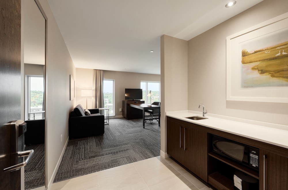 Studio, 1 King Bed, Non Smoking, Refrigerator & Microwave (Wet Bar) photo 2