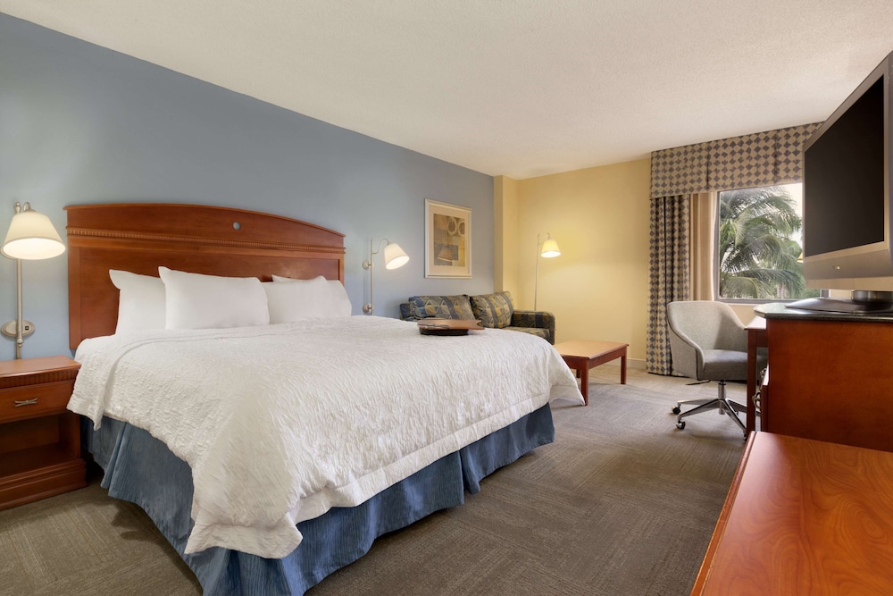 Accessible Room, 1 King Bed (Roll-In Shower)