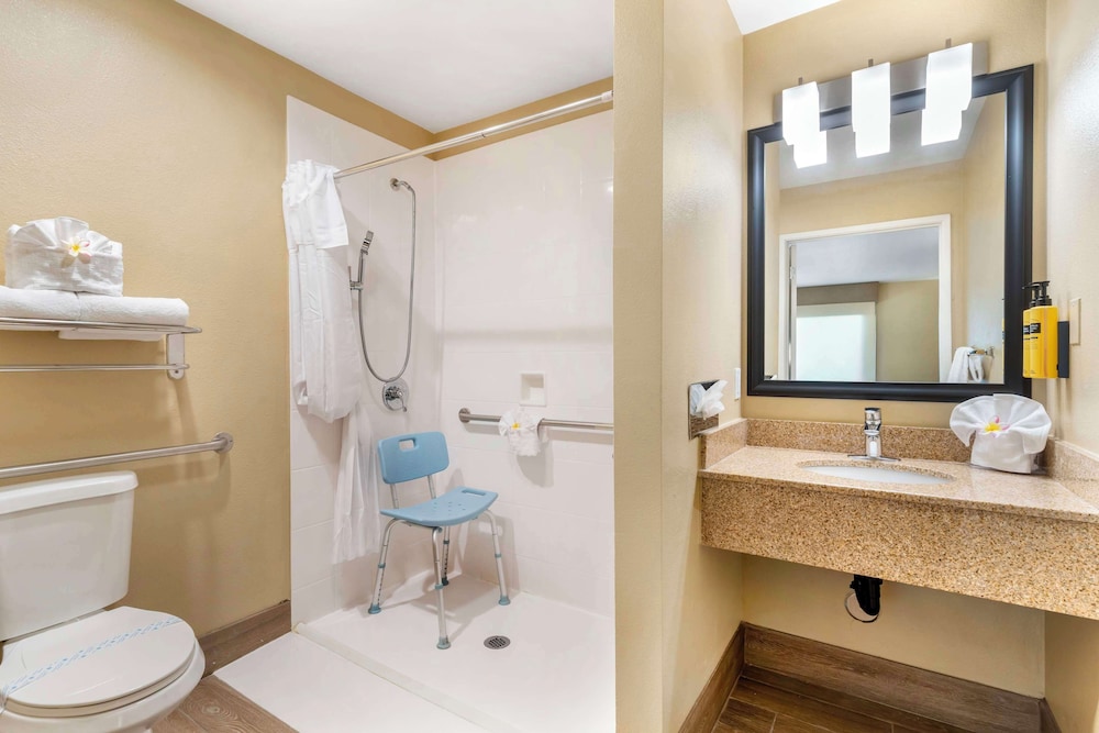 Standard Room, 1 King Bed, Accessible, Refrigerator & Microwave - Photo 6