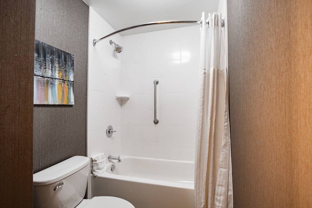 Studio Suite, 2 Double Beds - Photo 3
