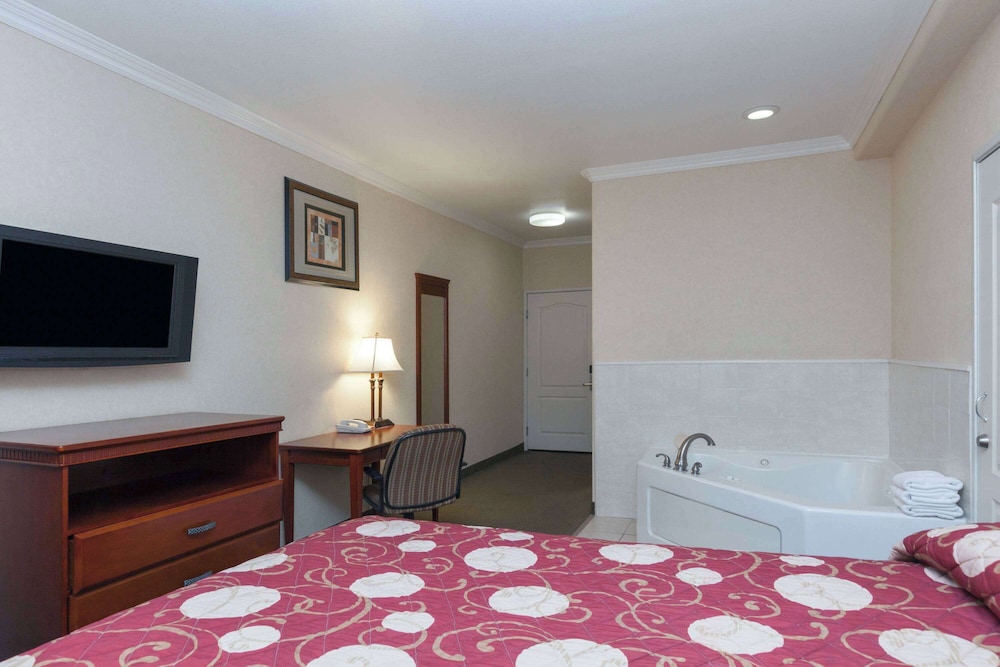 Suite, 1 King Bed - Photo 1