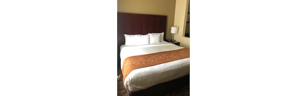 Suite, 1 King Bed with Sofa bed, Non Smoking - Photo 1